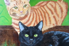 556C4F70-751F-4EF8-A307-520E3C308FC4