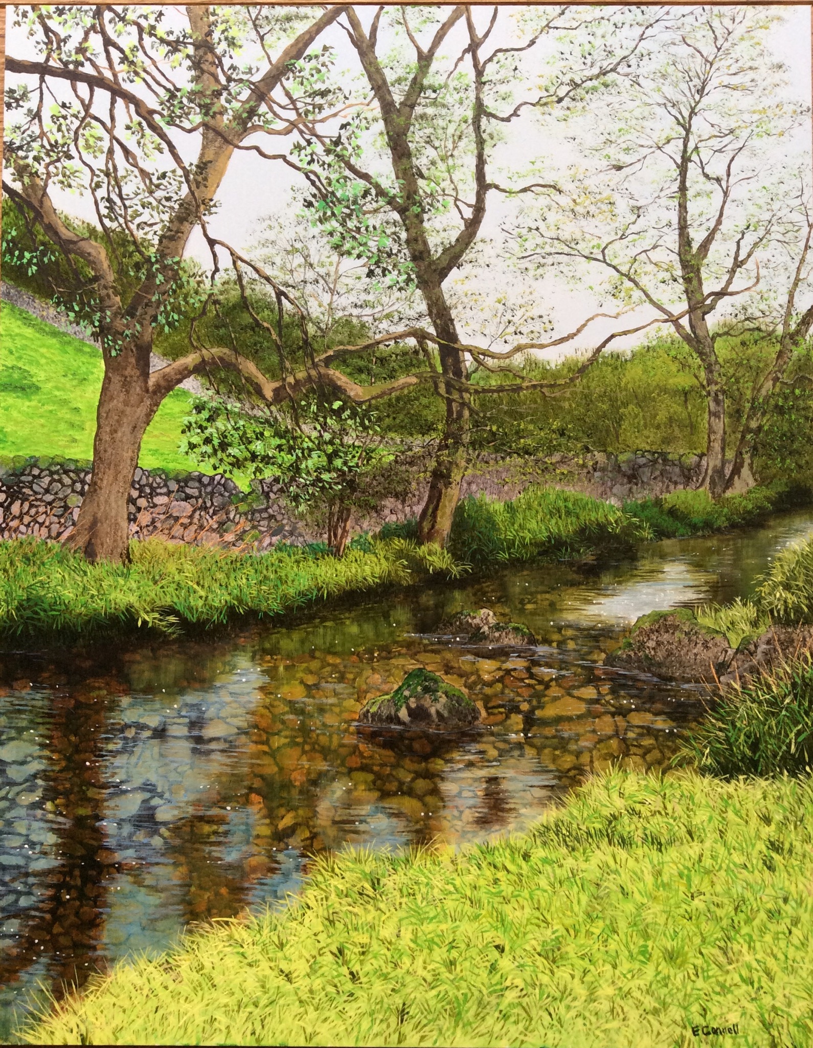 Malham Beck Yorkshire