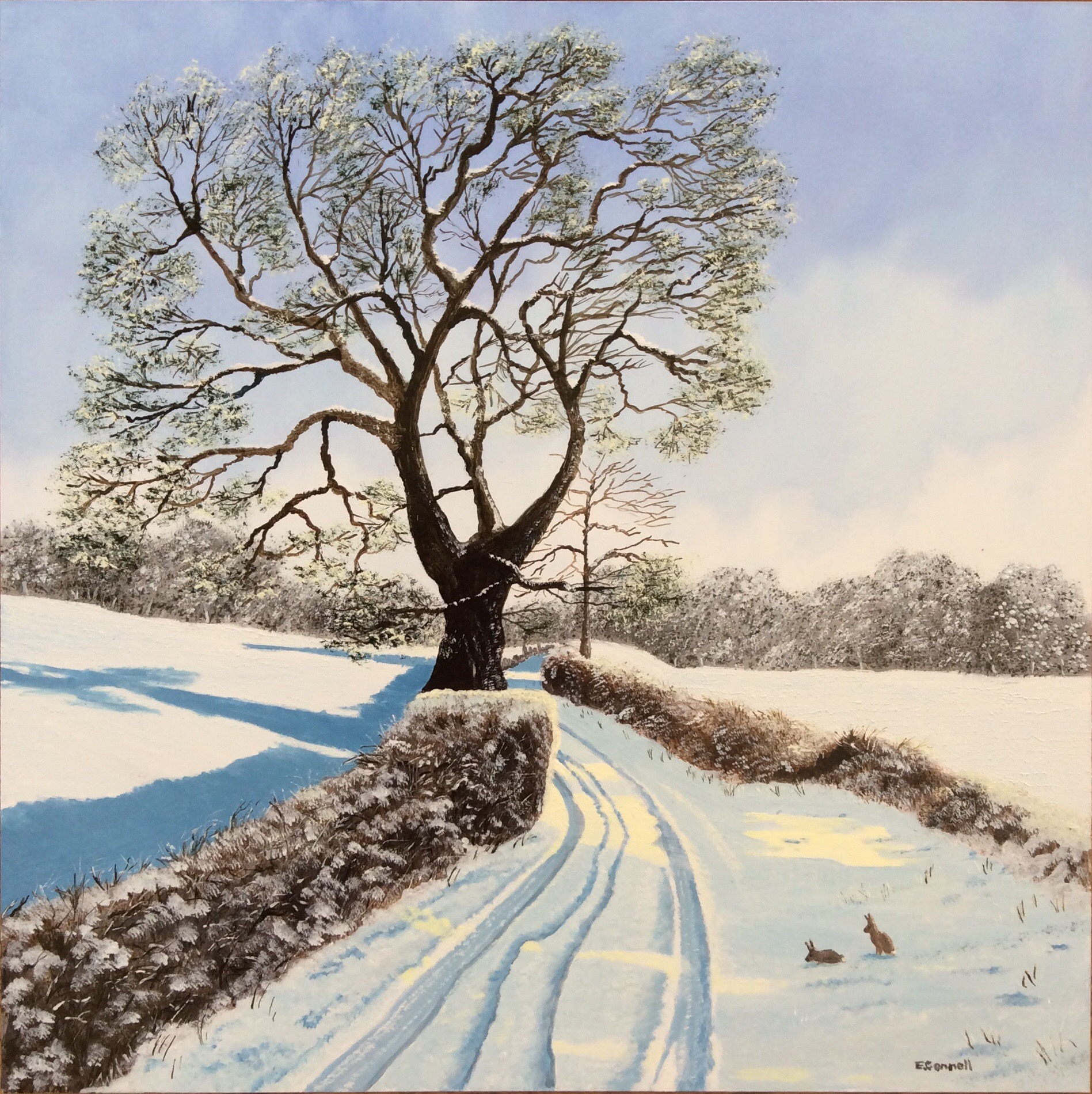 Tracks Through The Snow