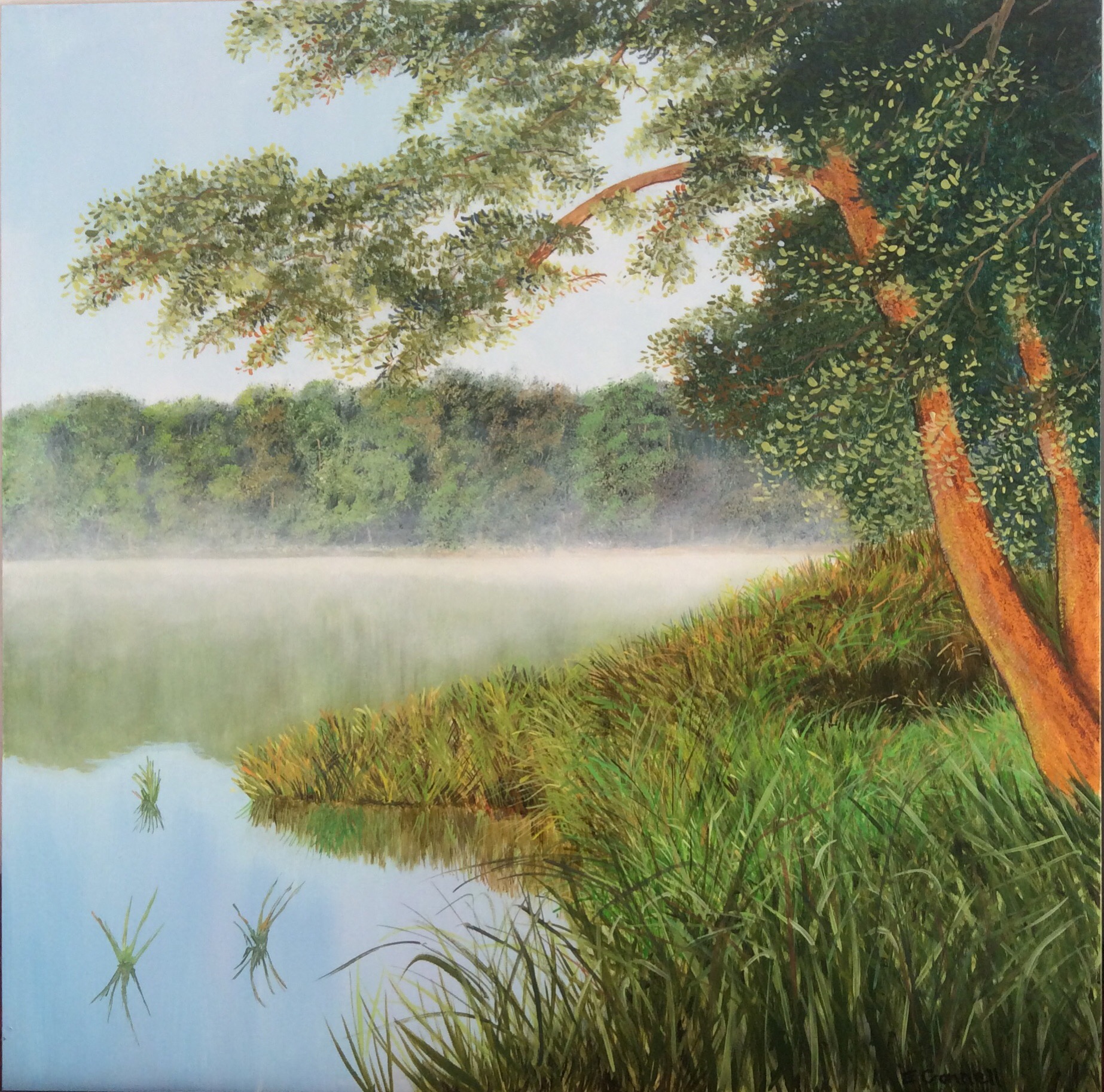 Mist Over Virginia Water