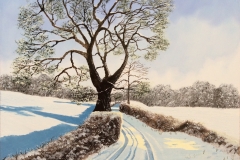 Tracks Through The Snow